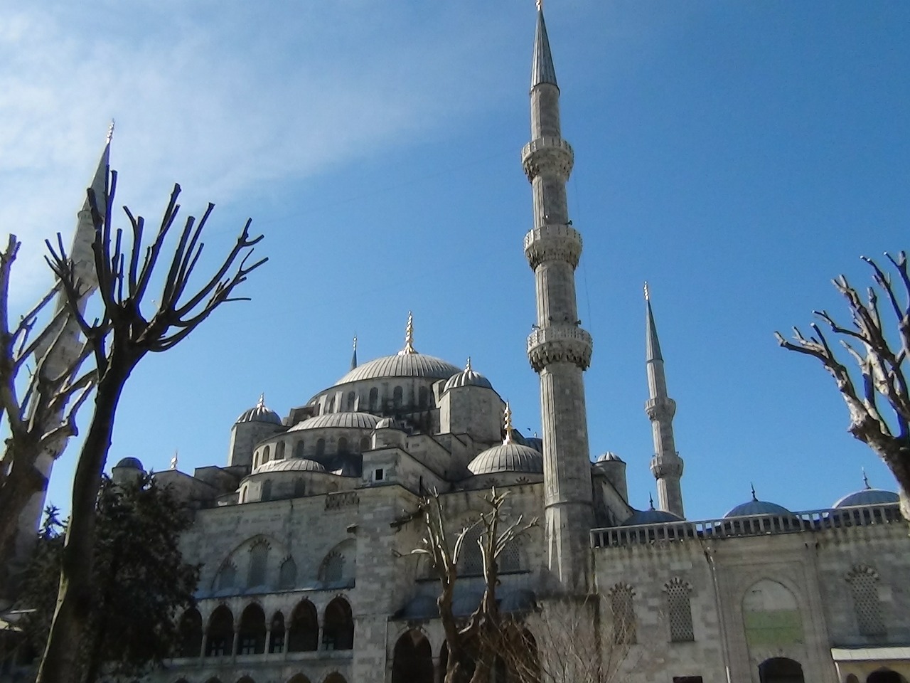 mosque blue istanbul free photo