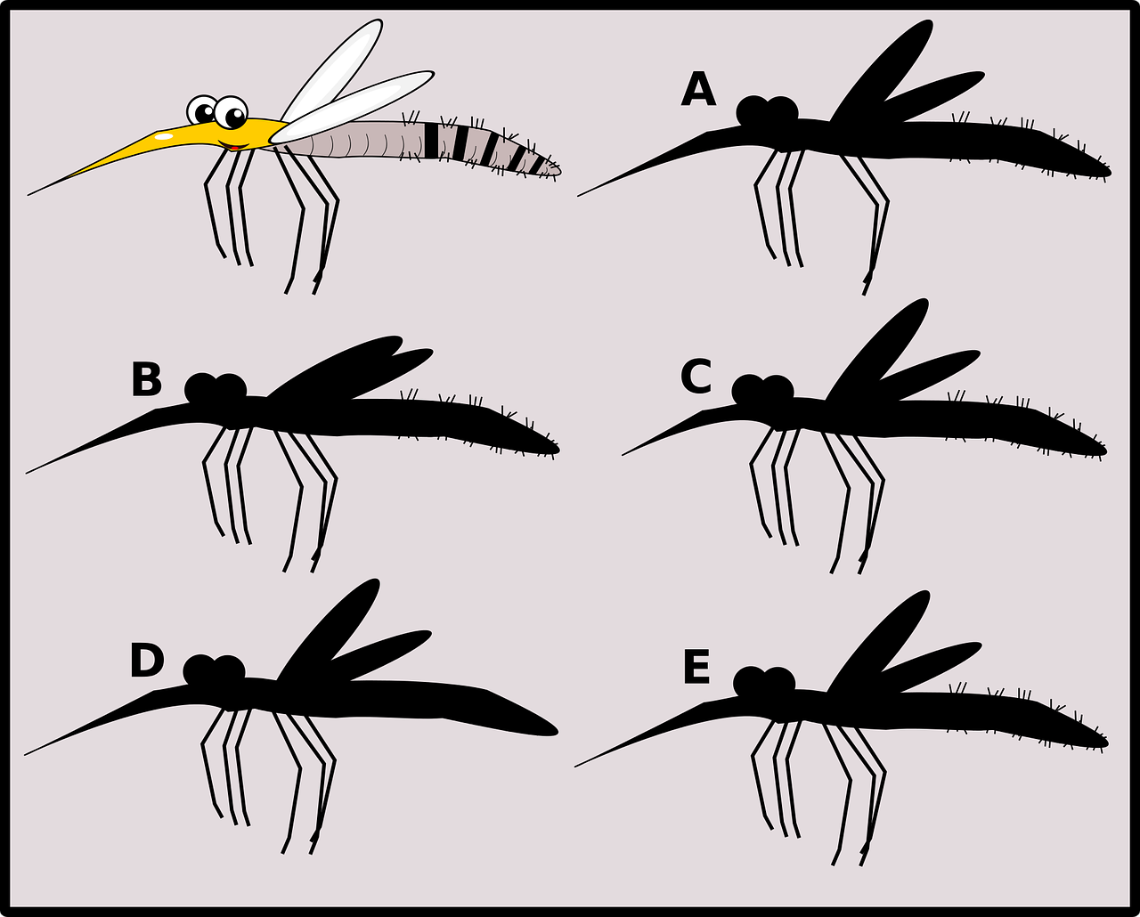 mosquito  puzzle  game free photo