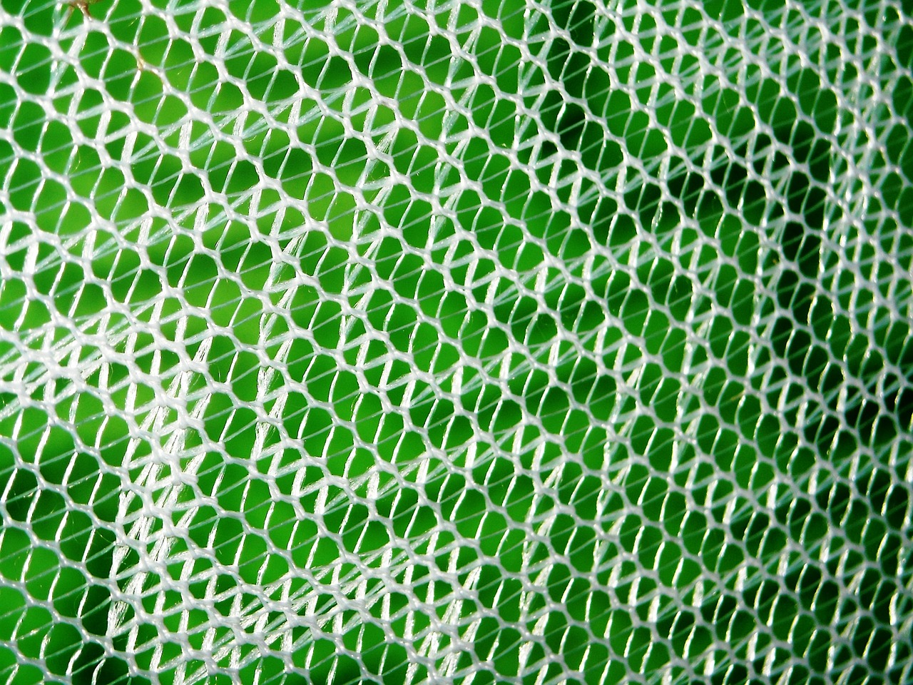 mosquito nets white wall free photo