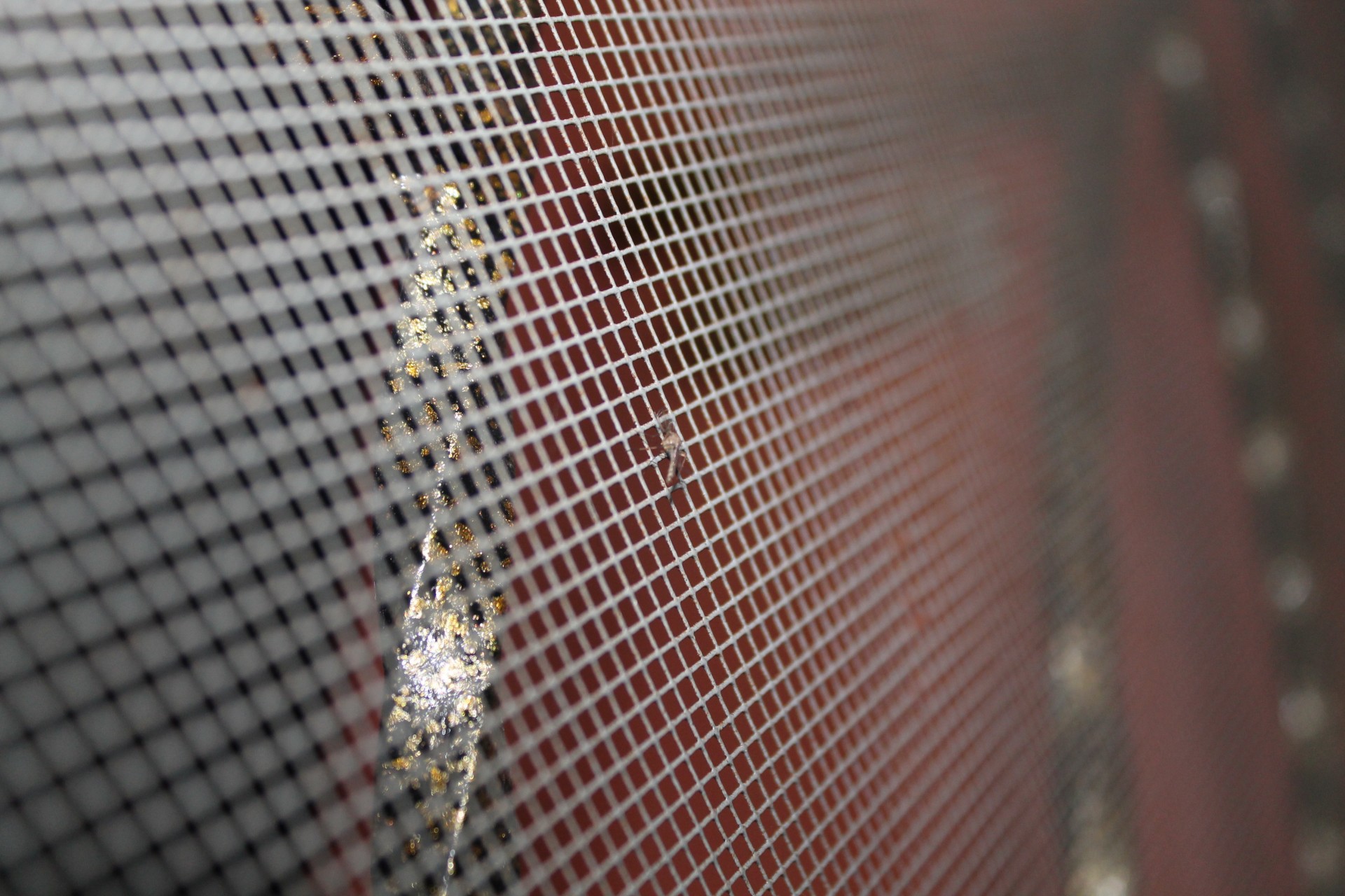 mosquito trap iron net free photo
