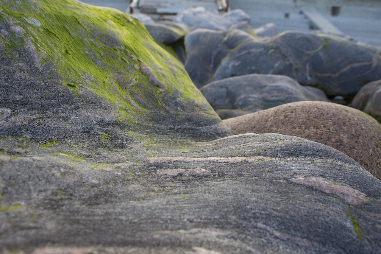 moss rocks beach free photo