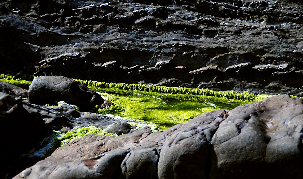 moss rock cliffs free photo
