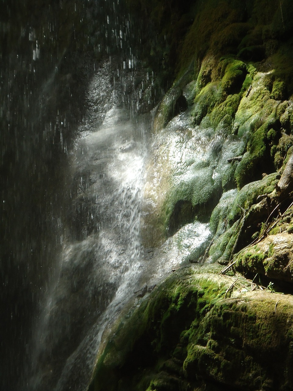 moss waterfall wet free photo