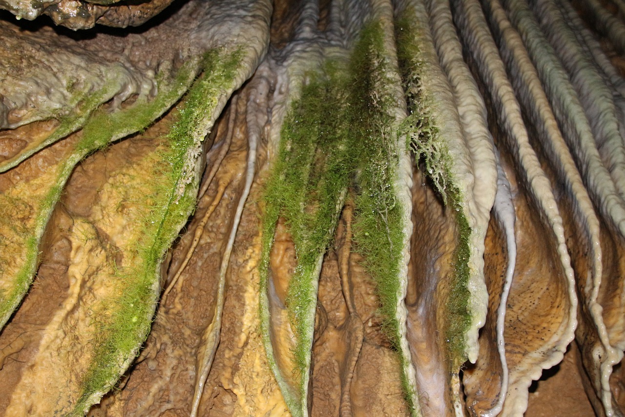 moss limescale cave free photo
