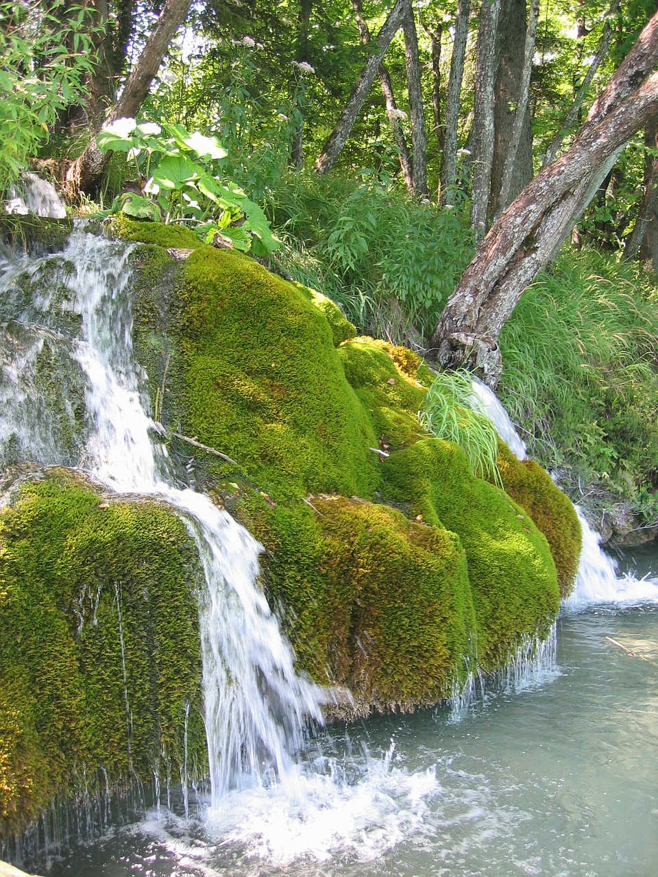 moss bach waterfall free photo