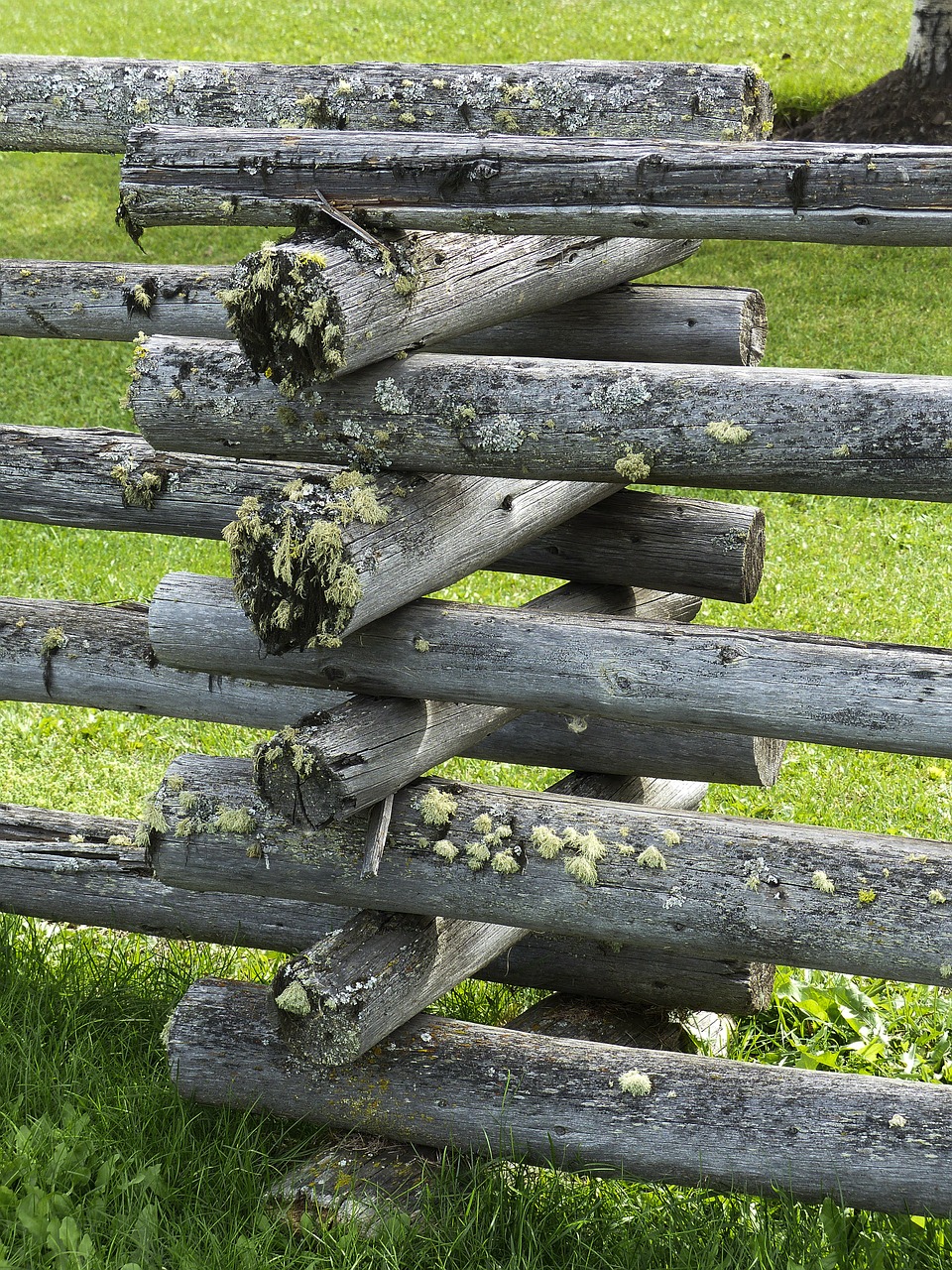 moss covered wooden fence free photo