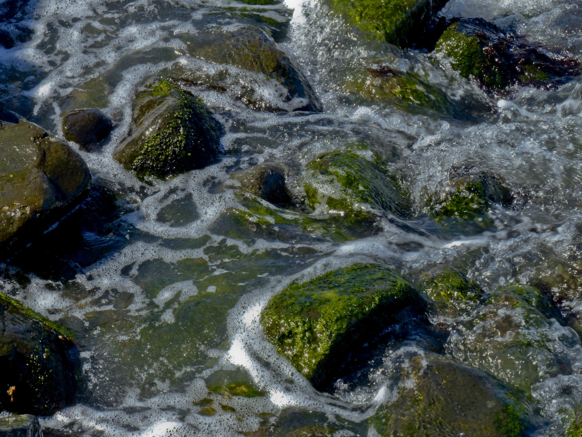 moss green rocks free photo