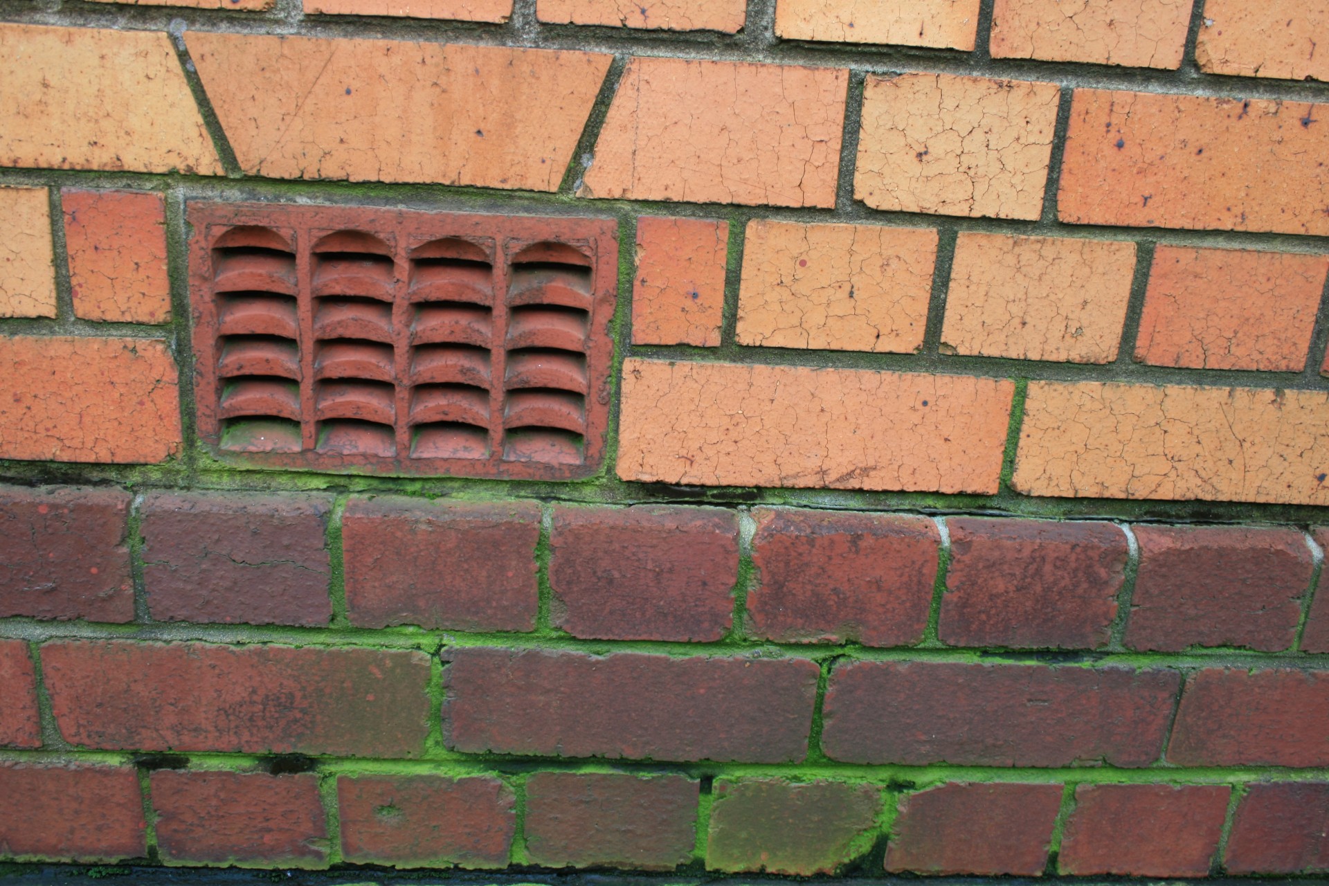 wall bricks grooves free photo