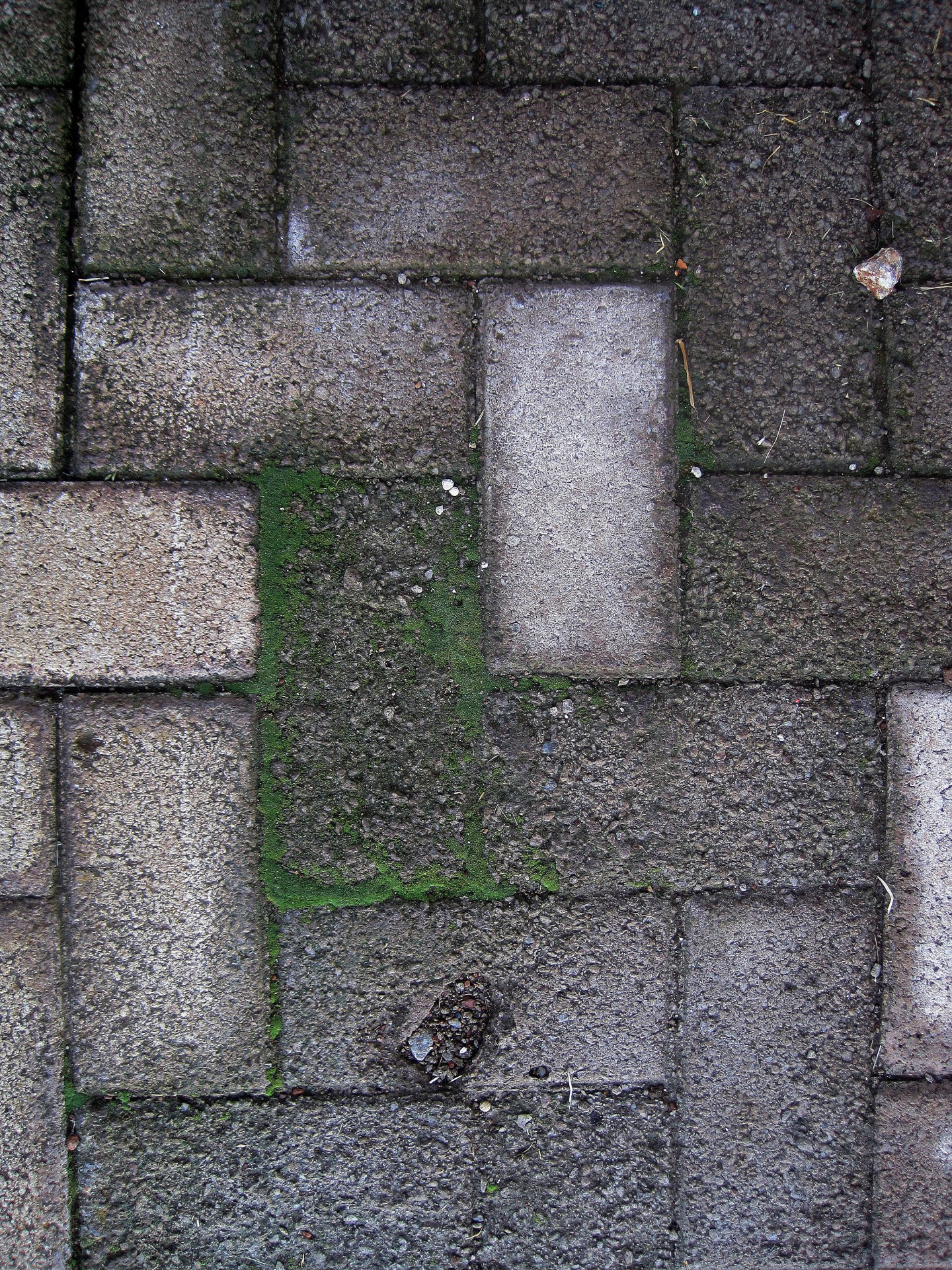 paving bricks moss free photo