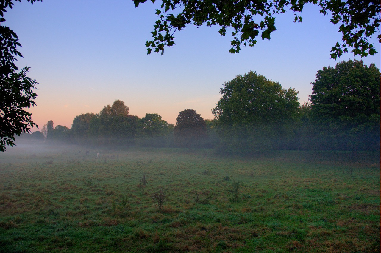 most early morning free photo