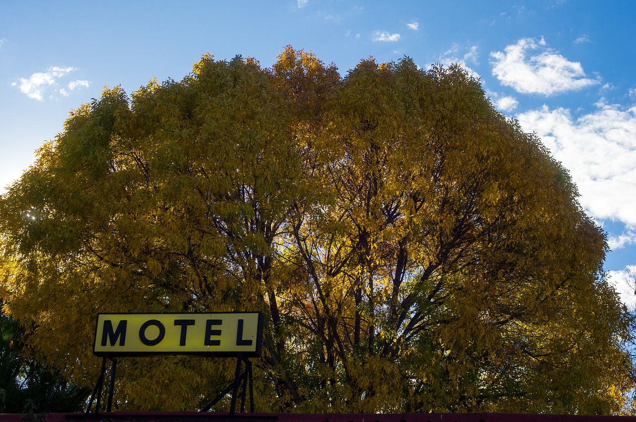 motel travel accommodation free photo