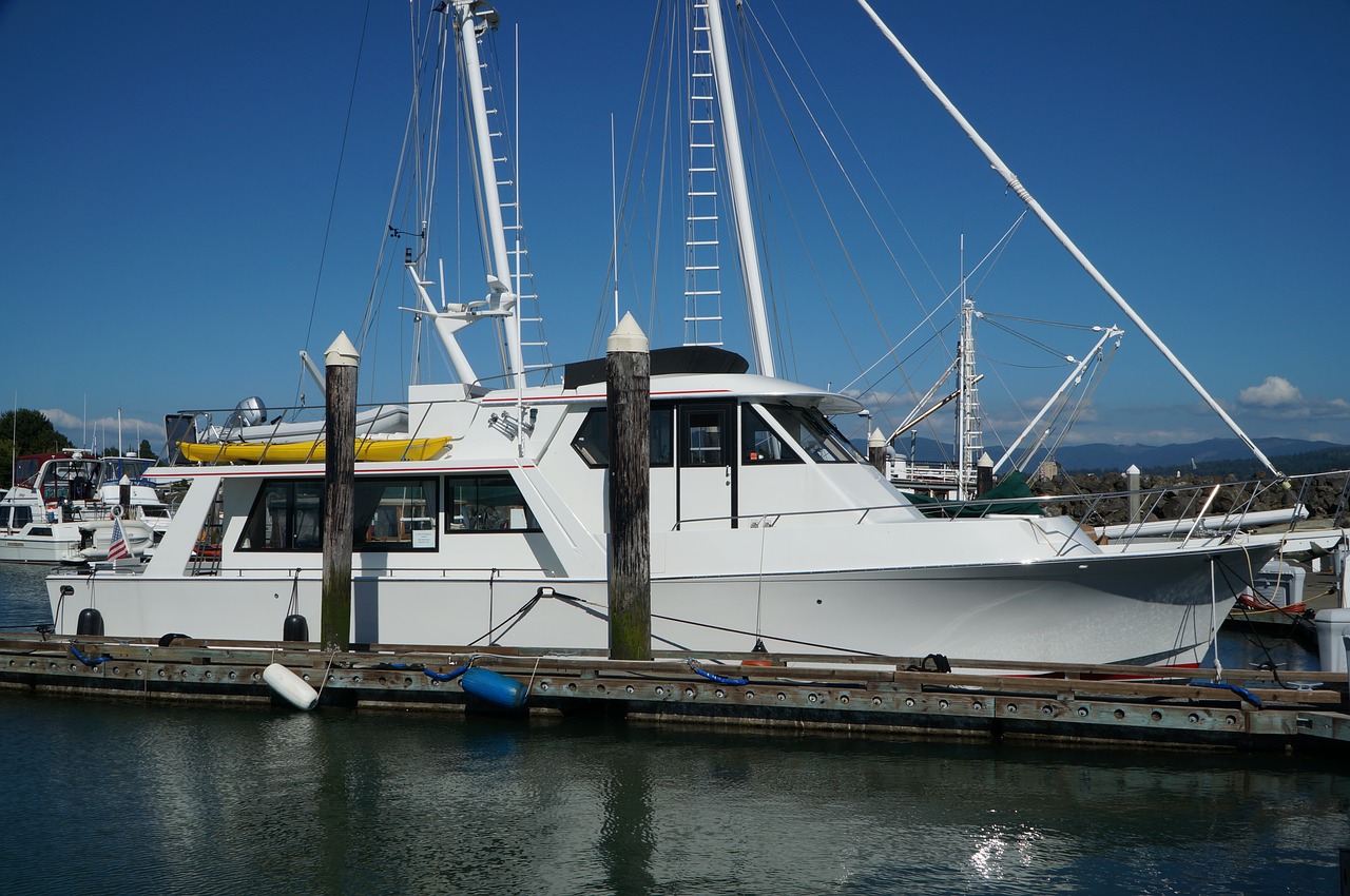 motor yacht harbor free photo