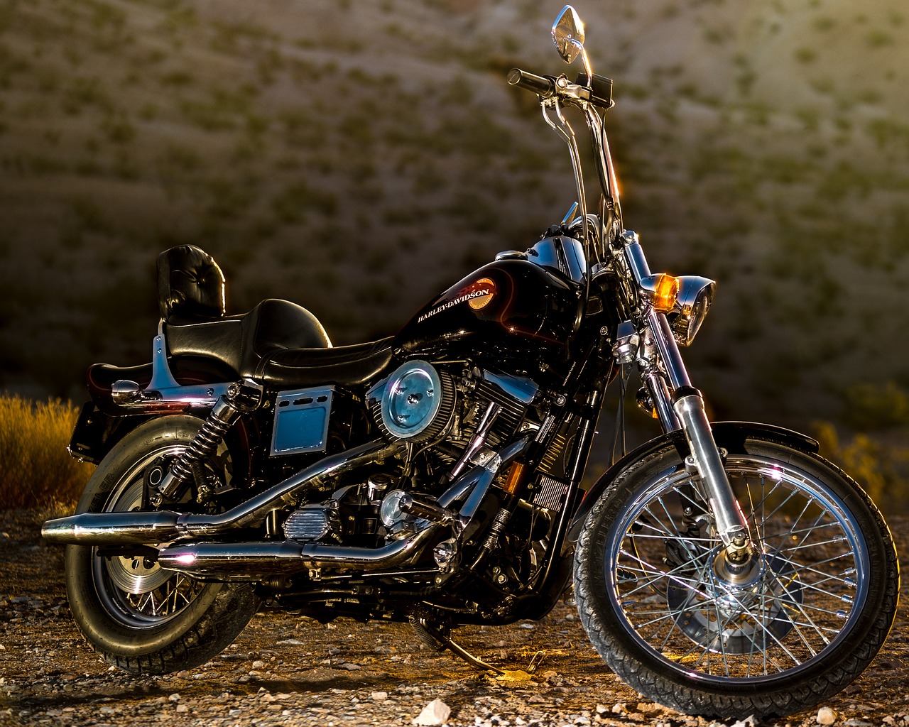 motorcycle harley motor free photo