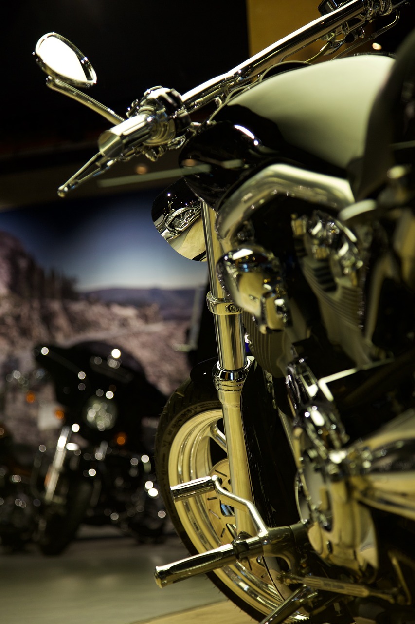 motorcycle gloss harley davidson free photo