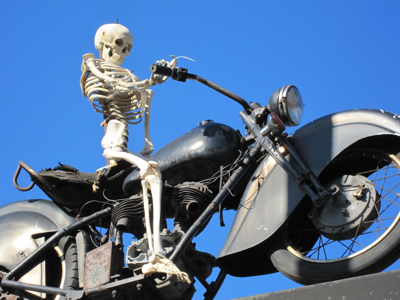 motorcycle skeleton bike free photo