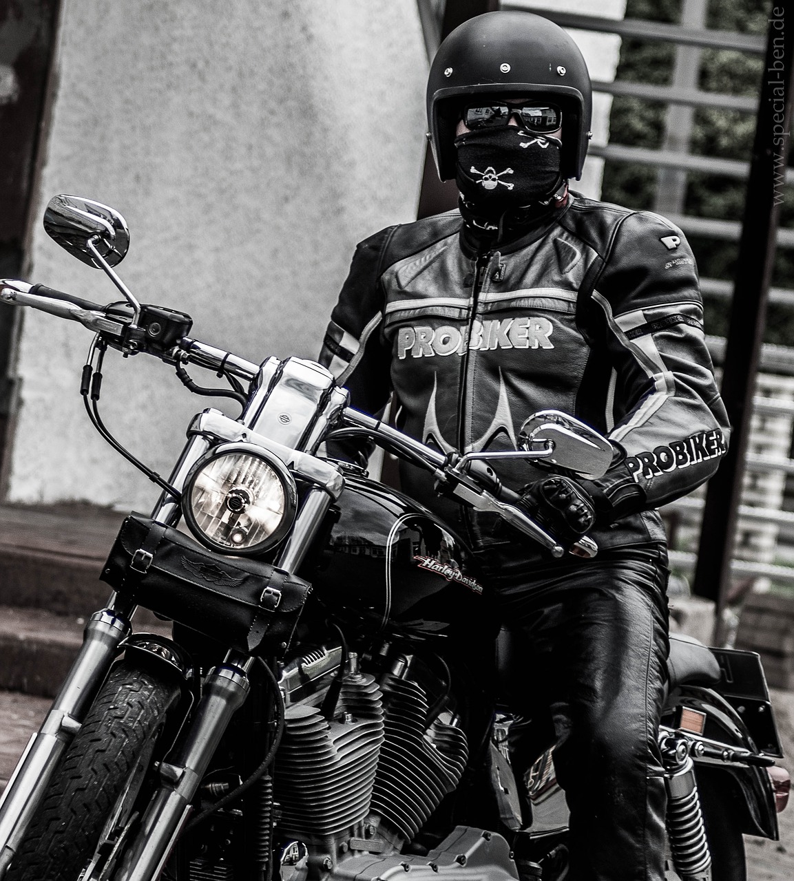 motorcycle harley davidson harley free photo