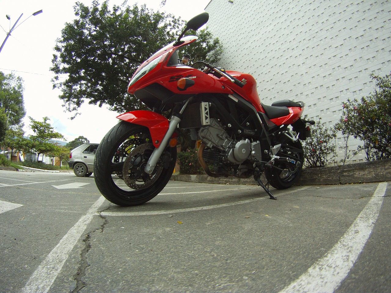 motorcycle suzuki motorbike free photo