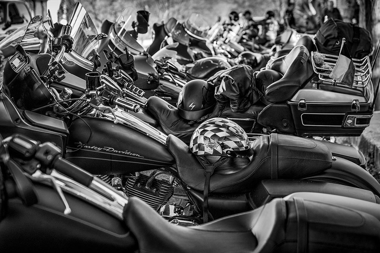 motorcycle harley harley davidson free photo