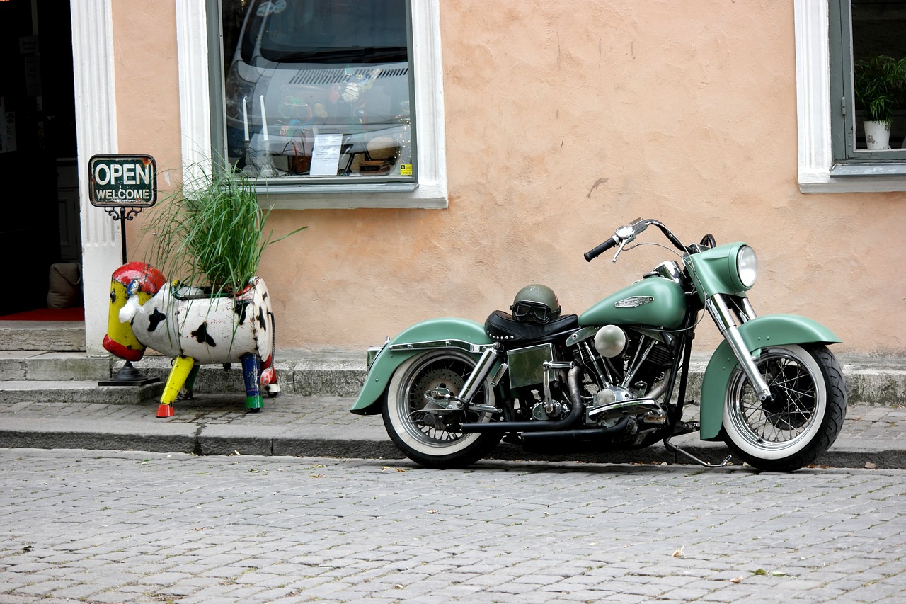 motorcycle  green  cow free photo