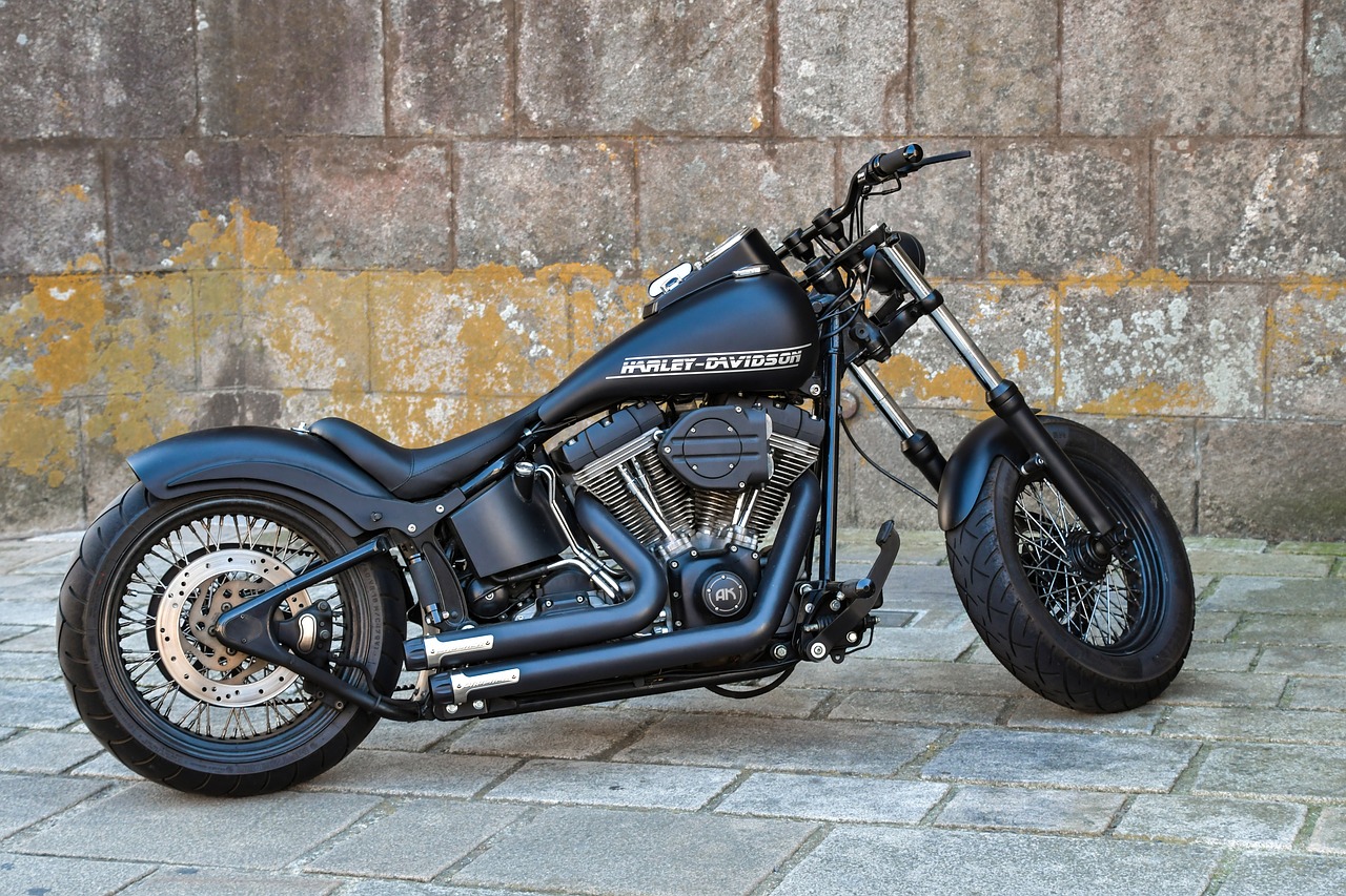 motorcycle  harley davidson  vehicle free photo