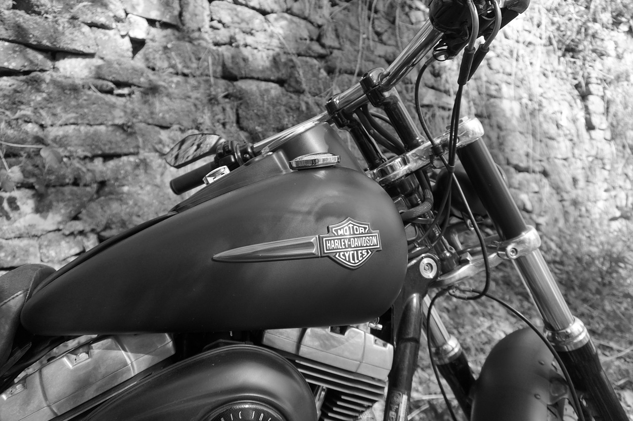 motorcycle  harley davidson  fatbob free photo