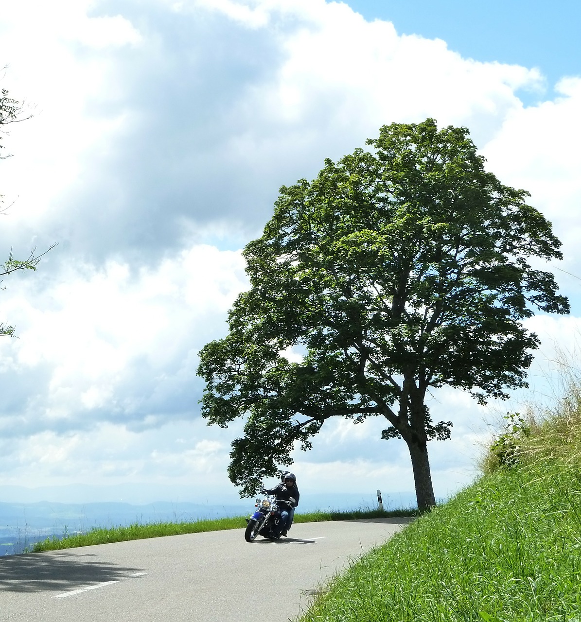 motorcycle summer tree free photo