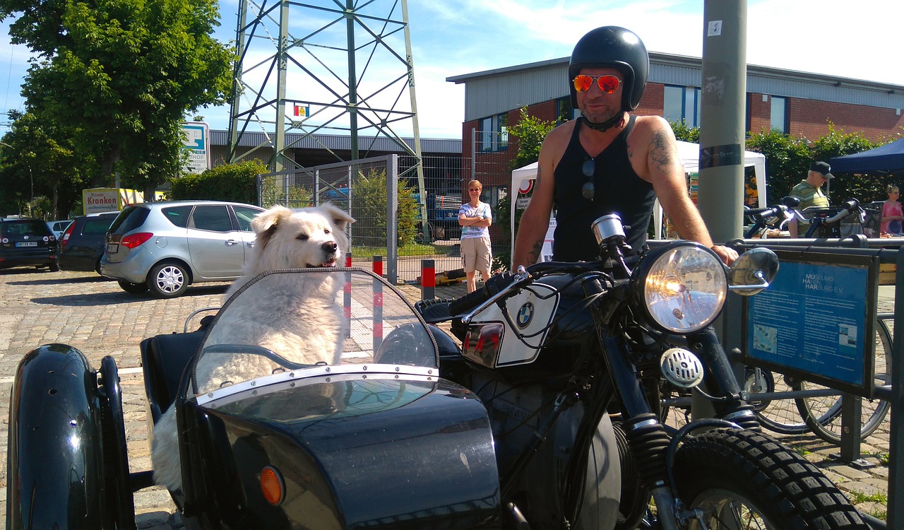 motorcycle sidecar dog in a sidecar harburg harbour festival free photo
