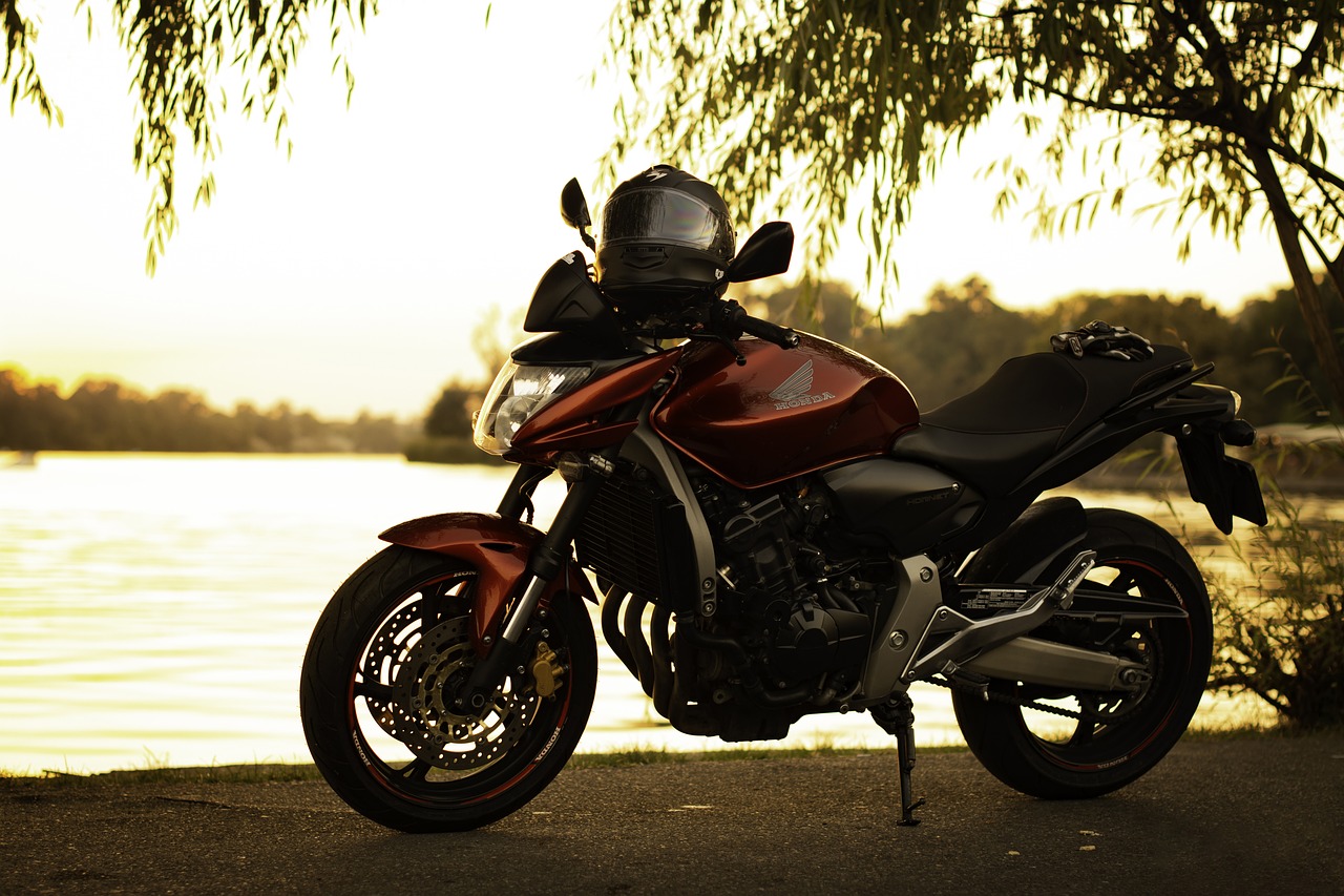 motorcycles  park  vehicle free photo