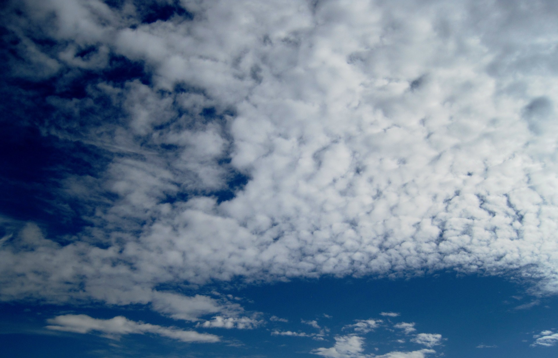 clouds white mottled free photo