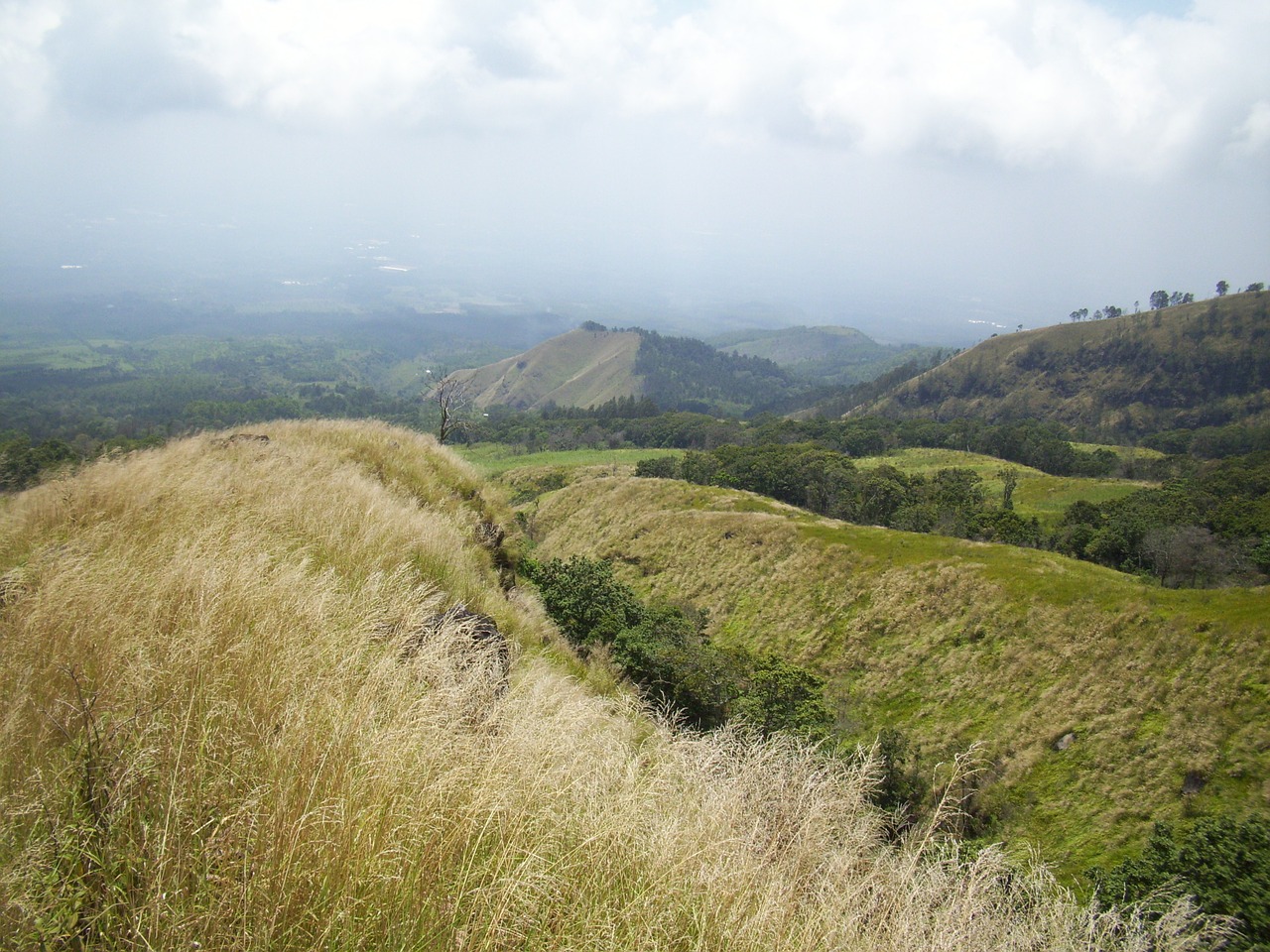 mount arjuno the meadow indonesian free photo