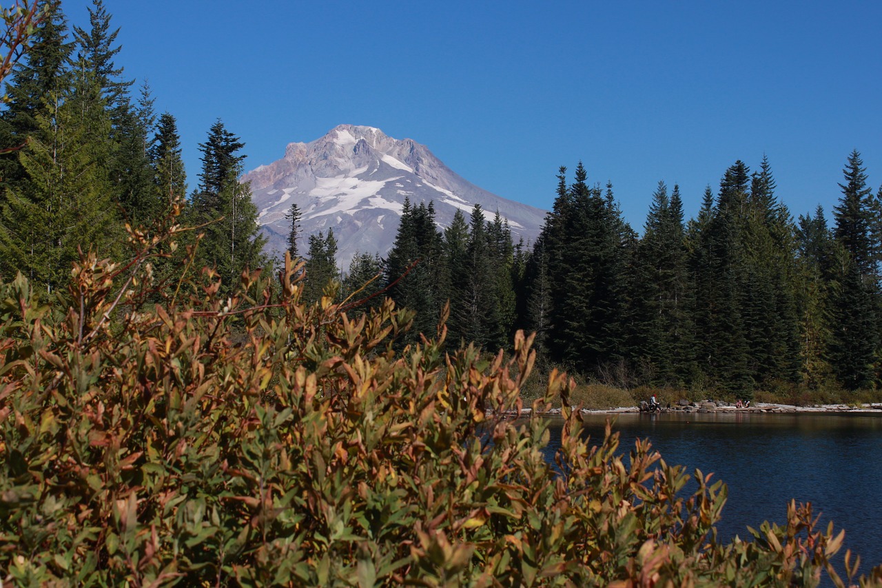 mount hood  mirror lake  fall free photo