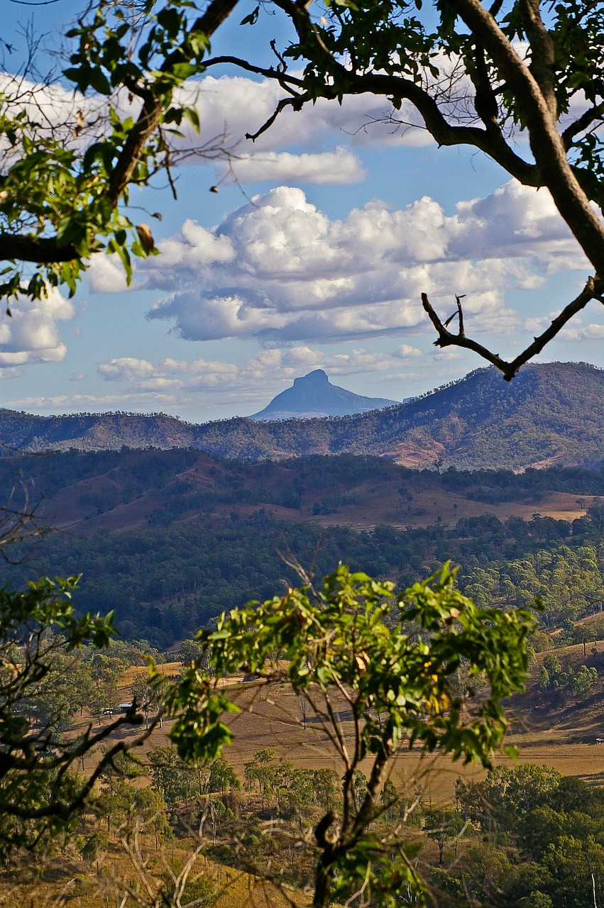 mount lindesay landscape trees free photo