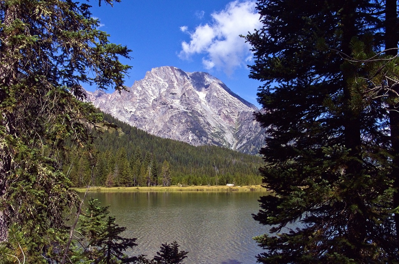 mount moran over string lake  mountains  grand teton national park free photo