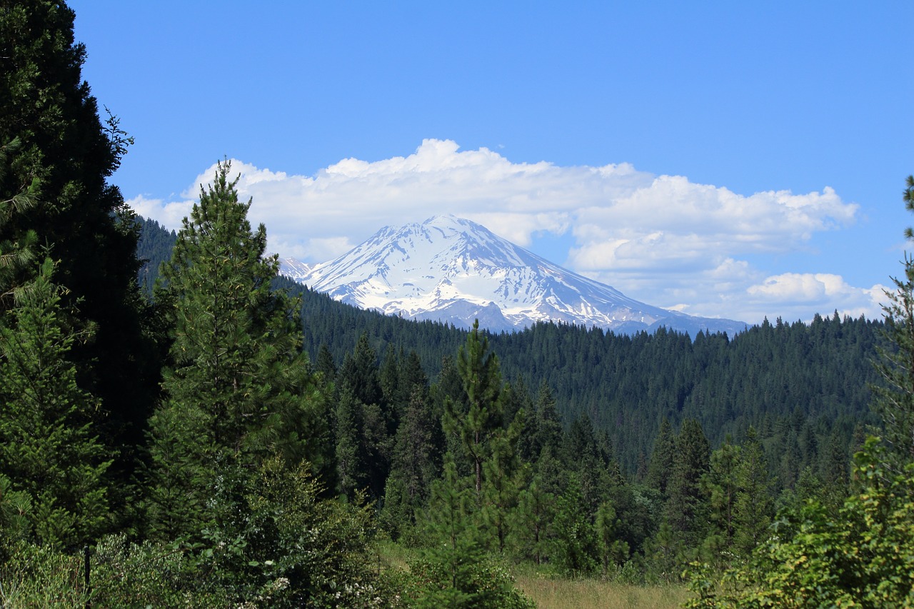 mount shasta mountain california free photo