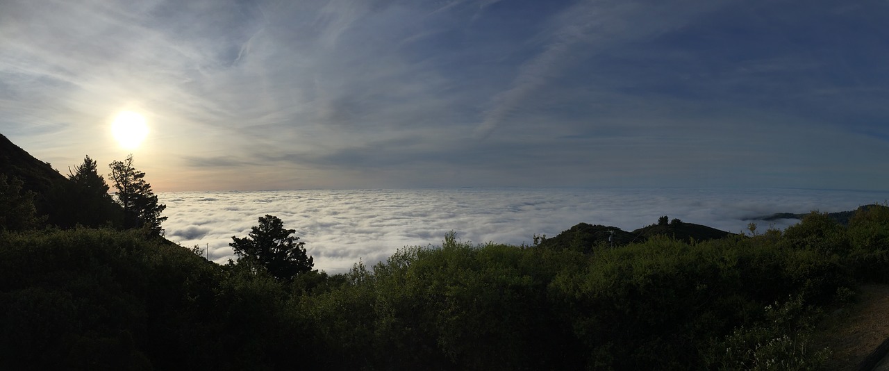 mount tamalpais above the fog fog free photo