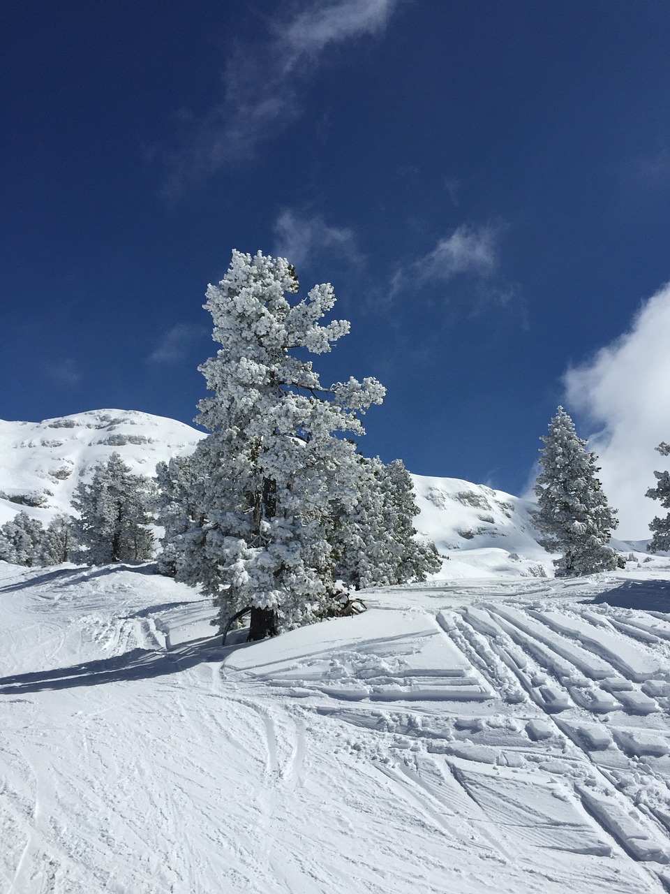 mountain snow winter free photo