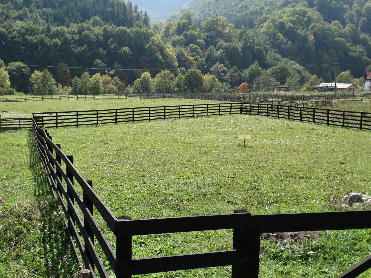 mountain vrancea laffey free photo