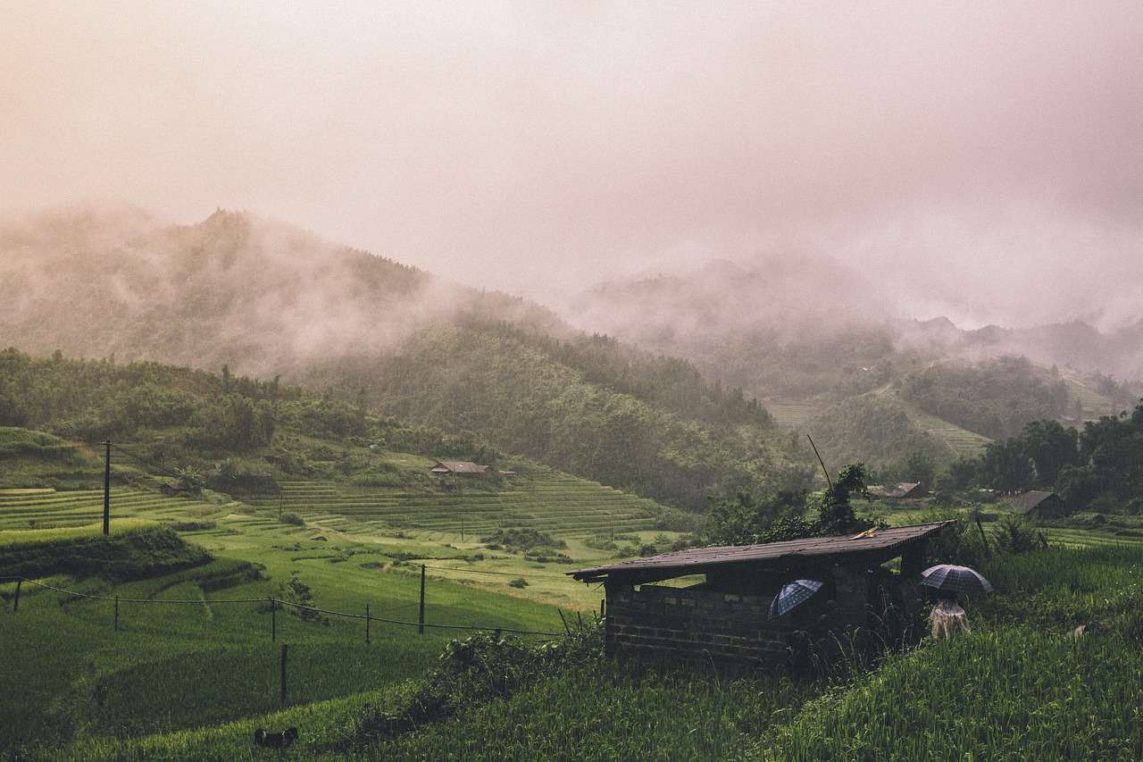 mountain mist shepherd free photo