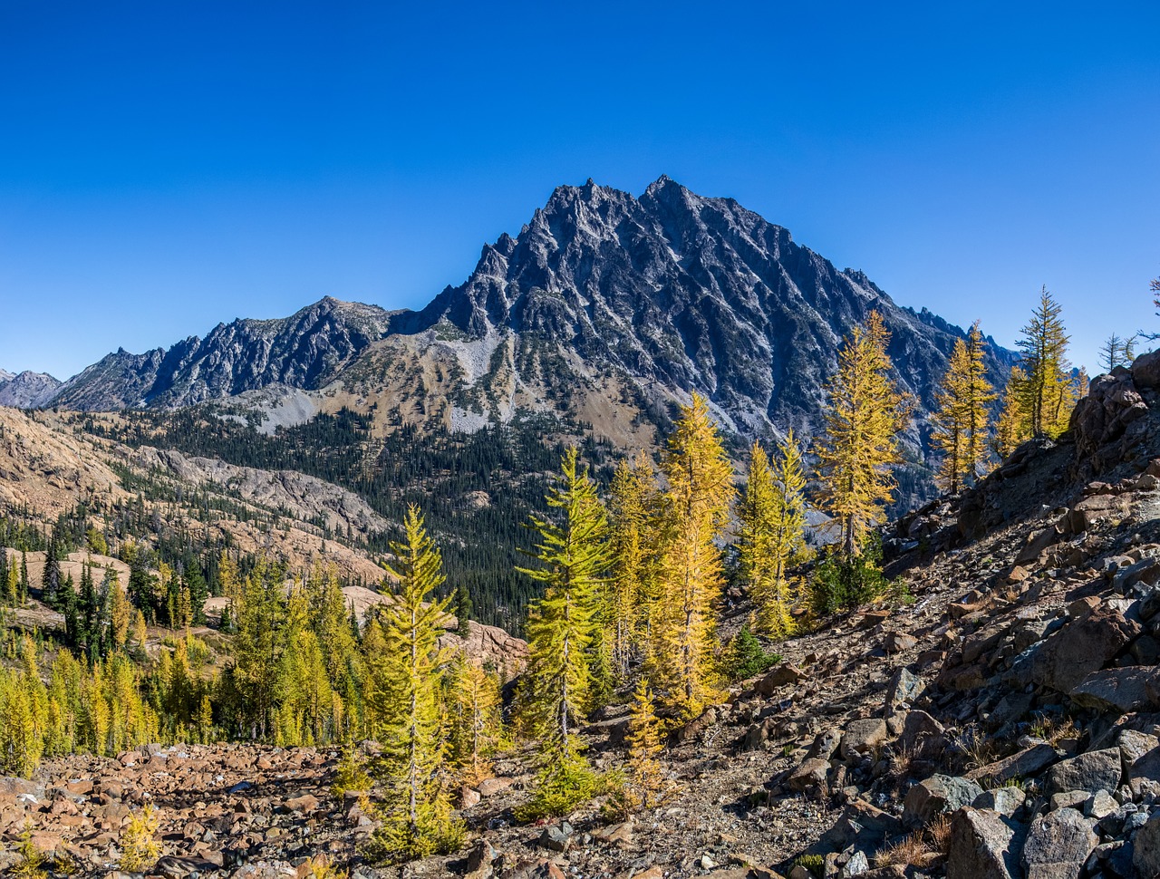 mountain national forest wilderness free photo