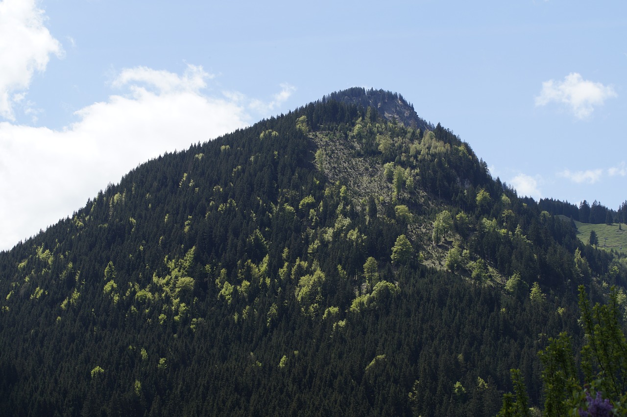 mountain allgäu alpine free photo