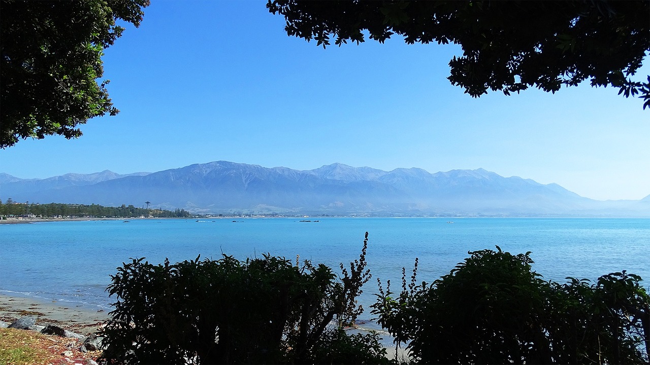 mountain beach trees free photo