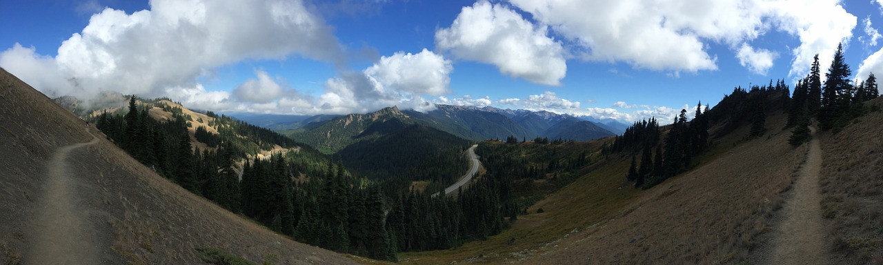 mountain olympic national park wash free photo