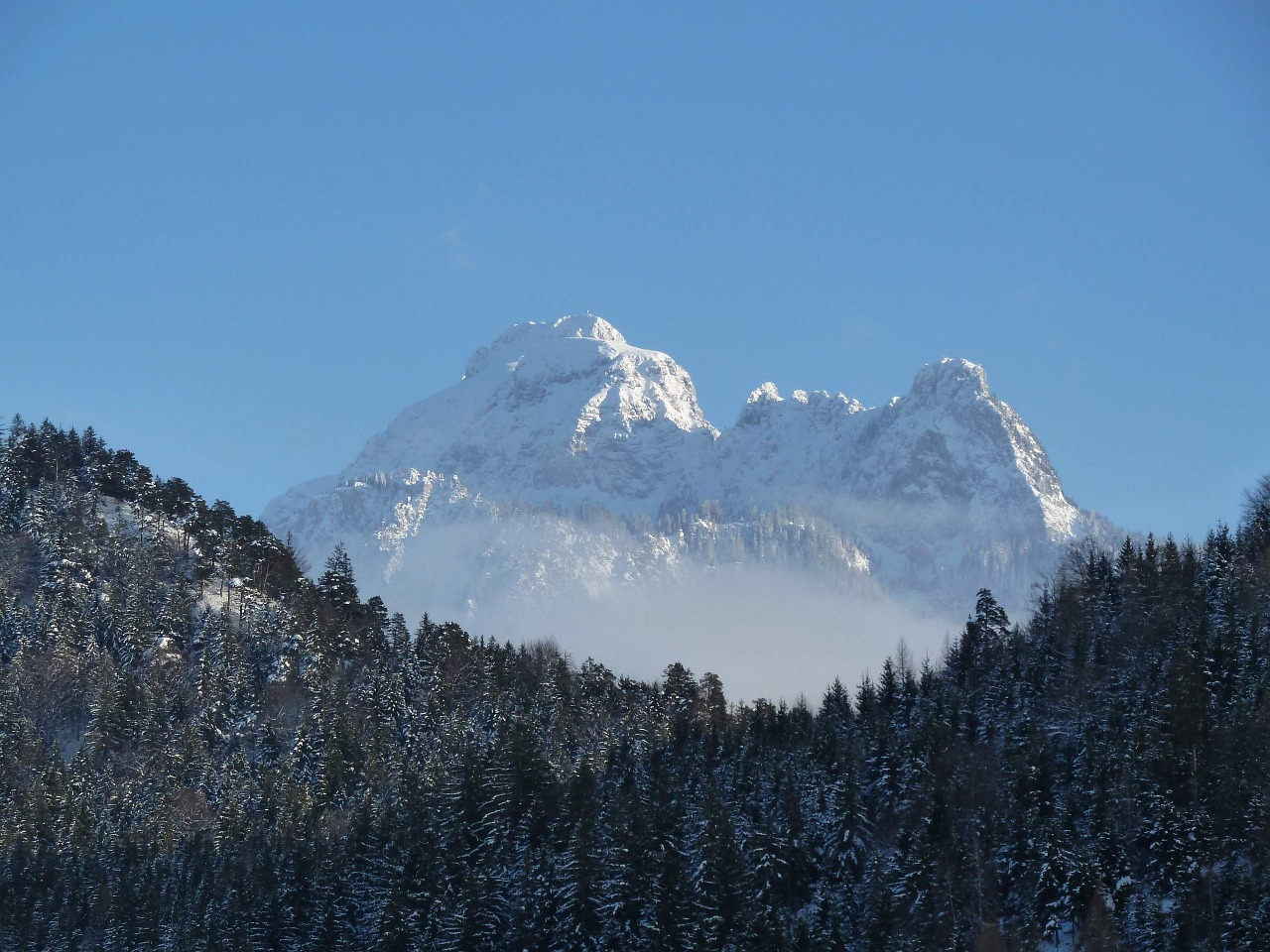 mountain nature allgäu free photo