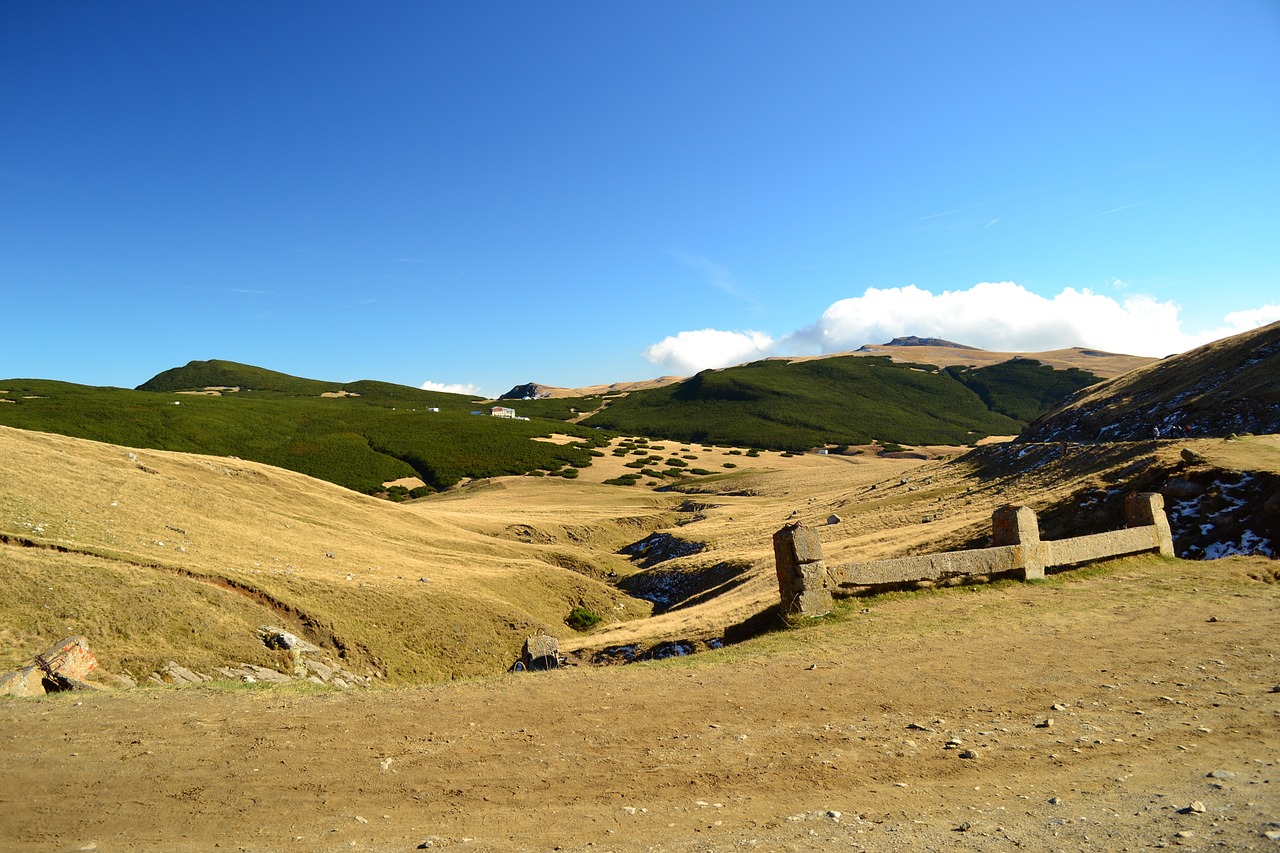 mountain road romania free photo