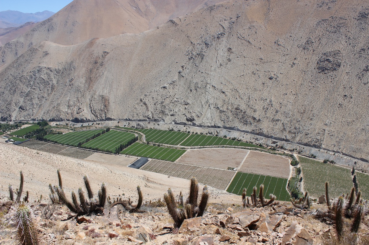 mountain chile paihuano free photo