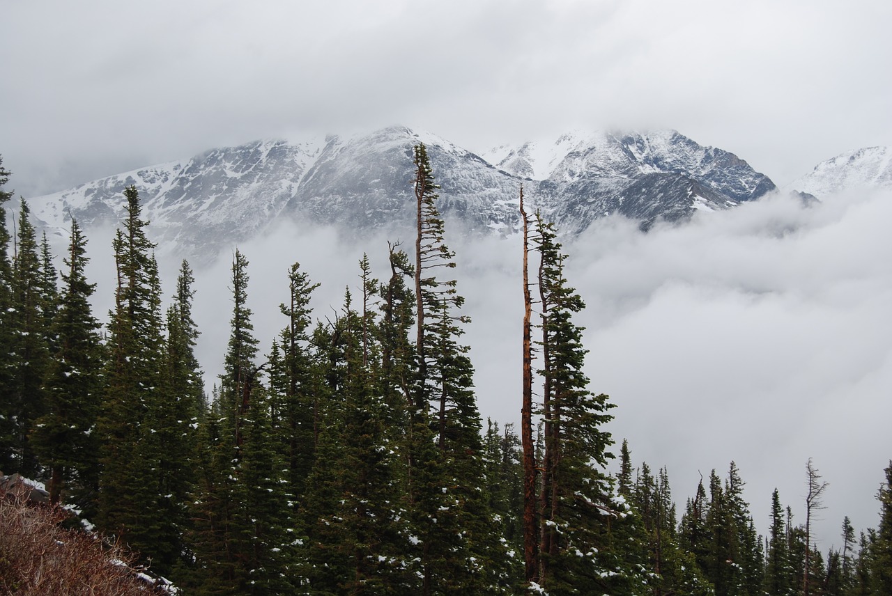 mummy range mountain fog trail ridge road free photo