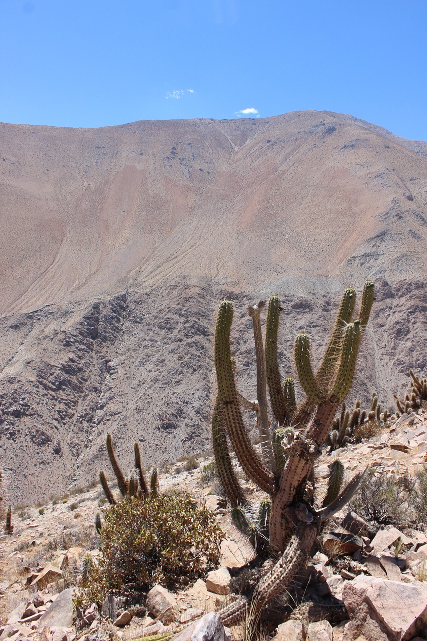 mountain chile elqui free photo