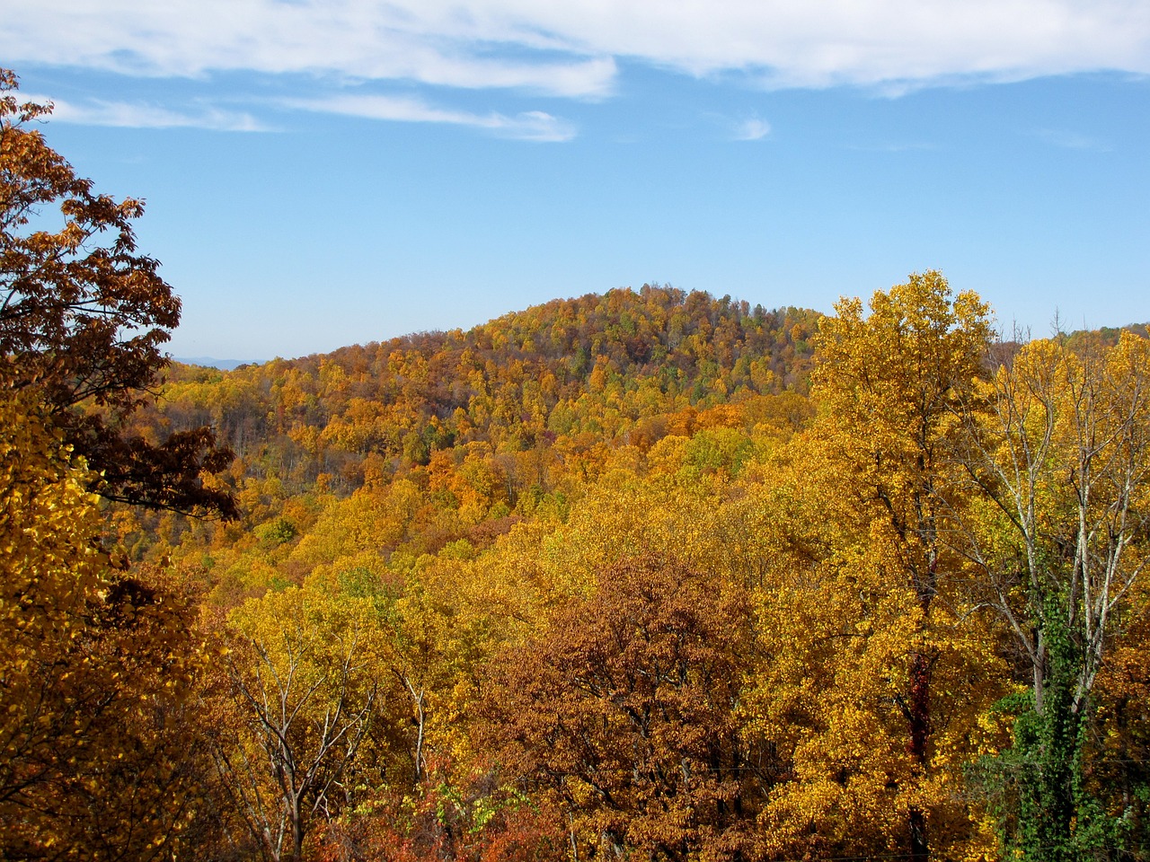 mountain fall autumn free photo