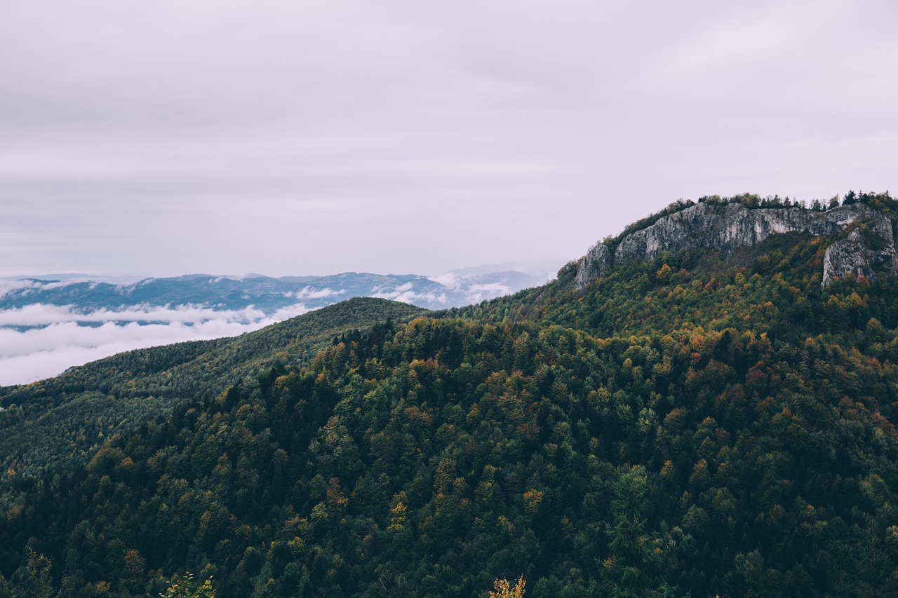 mountain forest clouds free photo