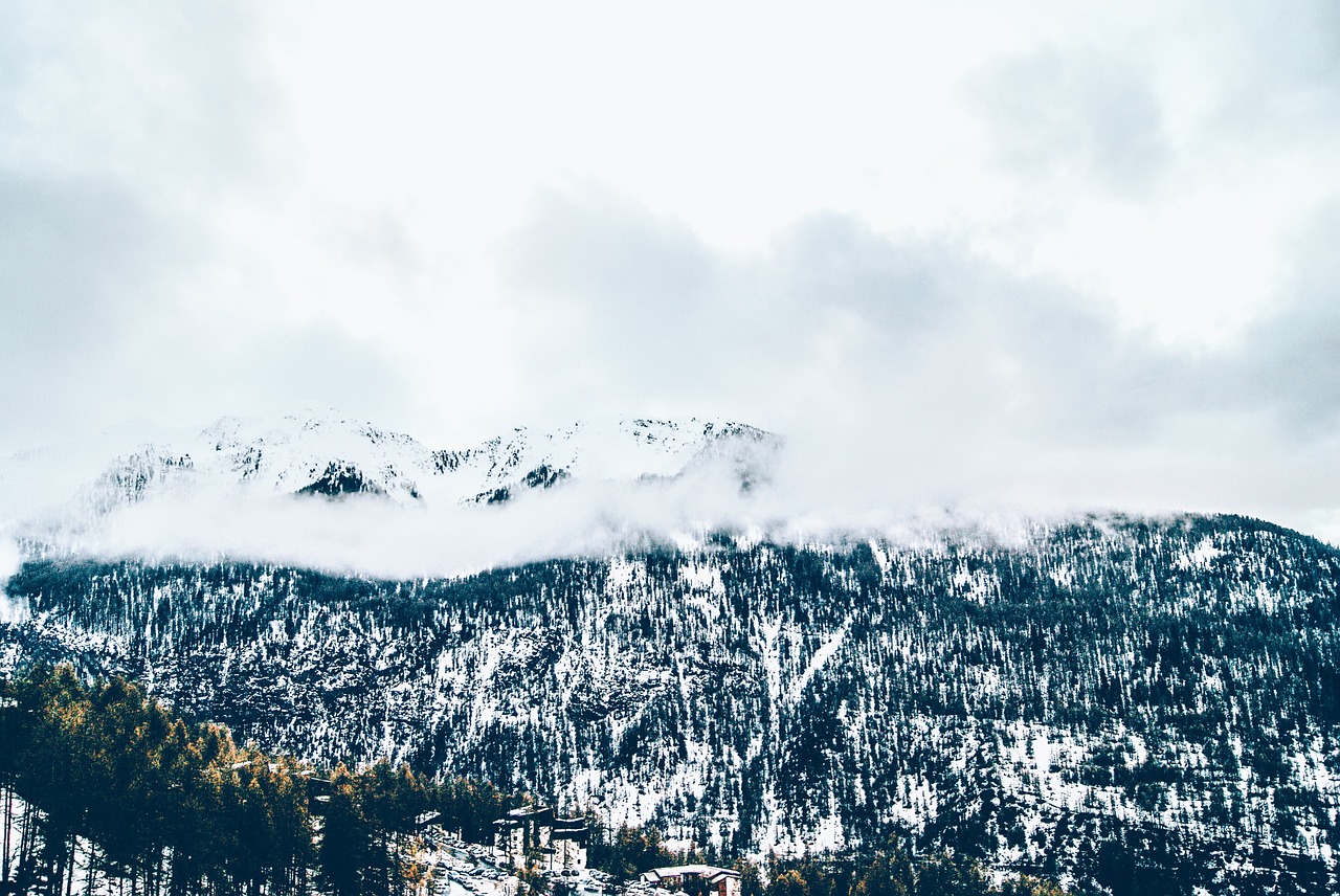 mountain snow trees free photo